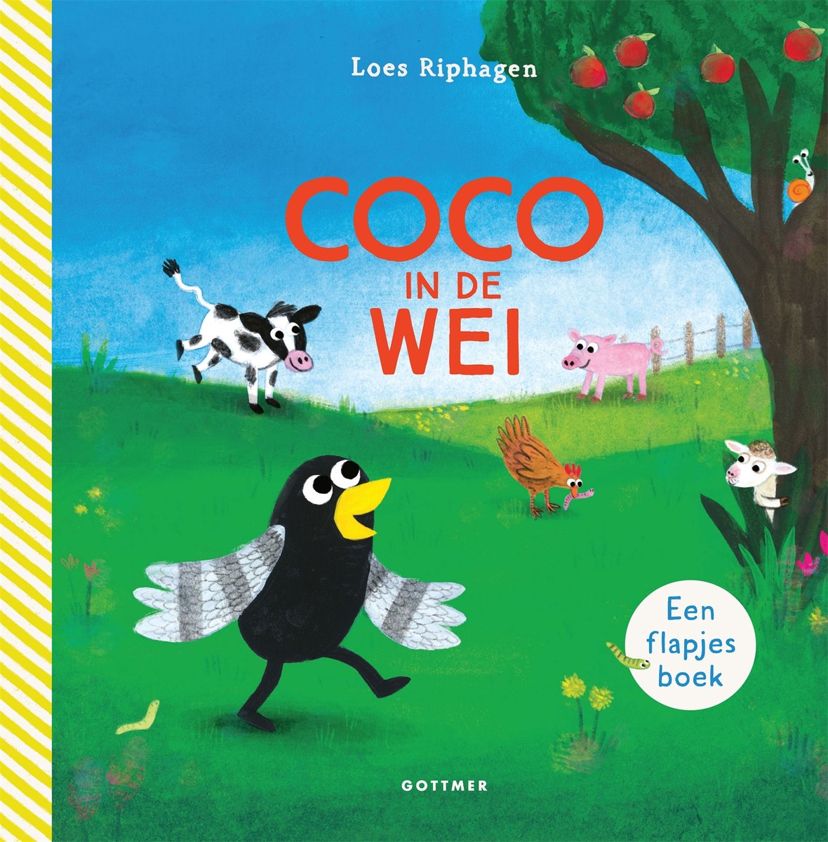 Coco babyboekje