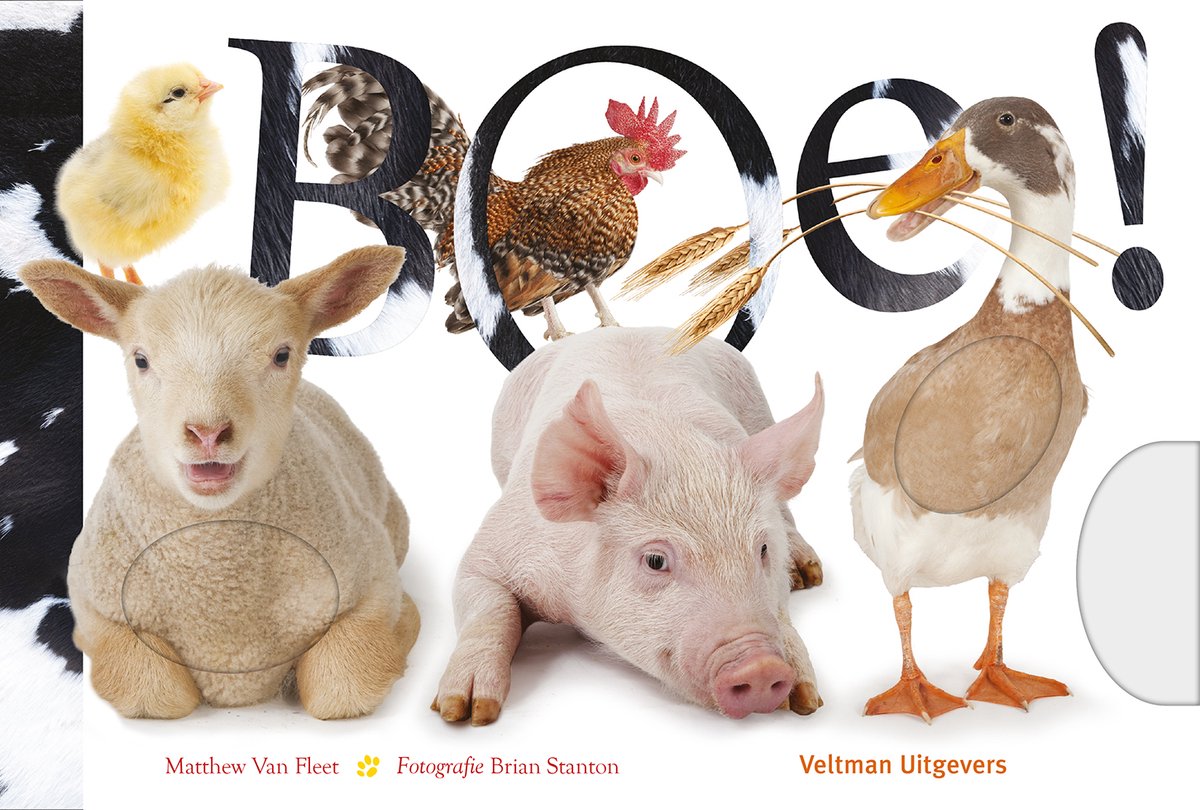 fleet boe