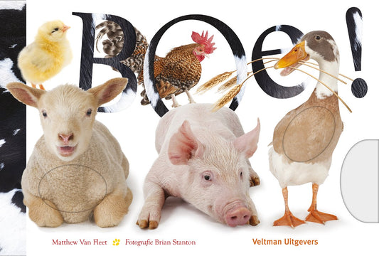 fleet boe